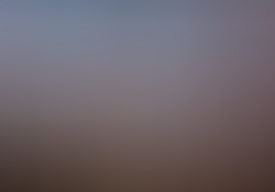dsc0898-1.jpg