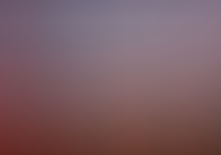 dsc0907.jpg