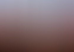 dsc0921.jpg