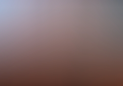 dsc0924.jpg