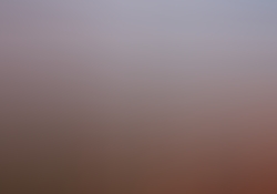dsc0957.jpg