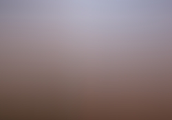 dsc0973-2.jpg