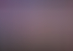 dsc1113.jpg