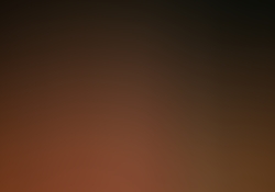 dsc1116.jpg