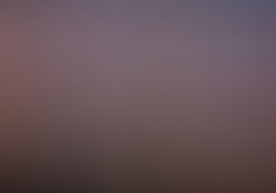 dsc1124-1.jpg