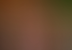 dsc1124.jpg