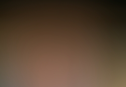 dsc1161-3.jpg