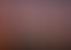 dsc1165-1.jpg