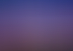 dsc1185-2.jpg