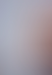 dsc1478.jpg