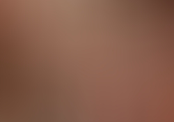 dsc4874.jpg