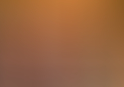 dsc6108.jpg