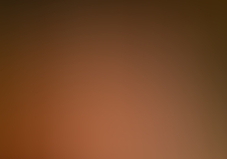 dsc9153.jpg