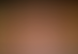 dsc9194-1.jpg