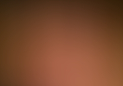 dsc9229.jpg