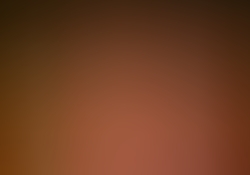 dsc9254-2.jpg