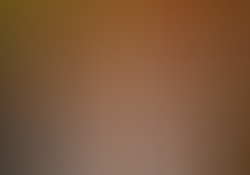 dsc9327-2.jpg