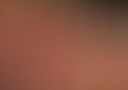 dsc9349-1.jpg