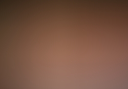 dsc9383-2.jpg