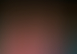 dsc9487-2.jpg