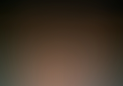 dsc9517.jpg