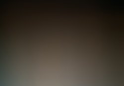 dsc9545-1.jpg