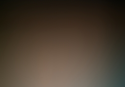 dsc9556.jpg