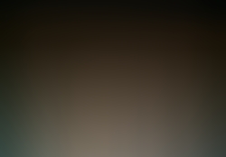 dsc9595-2.jpg