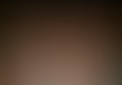 dsc9645.jpg