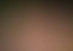dsc9769-1.jpg