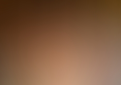 dsc9801.jpg