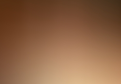 dsc9817.jpg