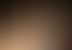 dsc9825-1.jpg