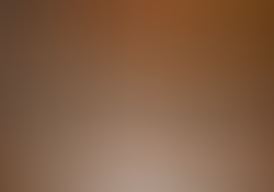 dsc9832-1.jpg