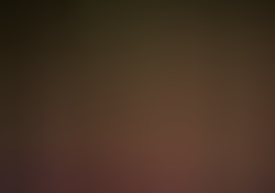 dsc9996-1.jpg