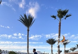 img0507.JPEG