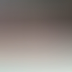 img8371.jpg
