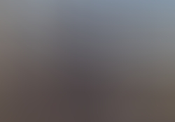 img8501-1.JPG